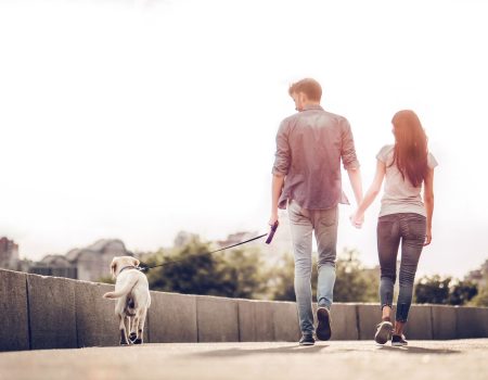 Apartment Pet Policy couple walking dog ven